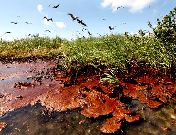 El cemento no ha sido suficiente para deterner la fuga de petróleo en el Golfo de México.