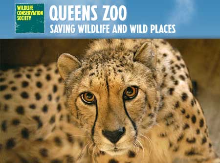 El Zoológico de Queens es para toda la familia. 