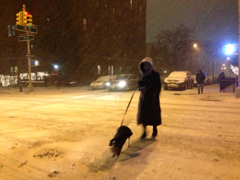 Durante la noche del jueves y el amanecer del viernes se acumuló la nieve. 