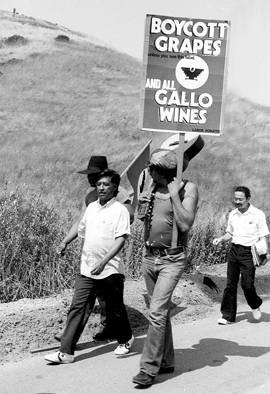 César Chávez, a la izquierda, en una protesta contra el cultivo y producción de uvas en California.