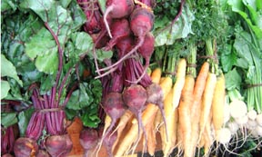 Queens Botanical Garden will have fresh vegetables every Friday.