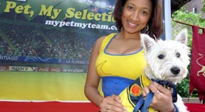 Perro con la camiseta de Colombia.