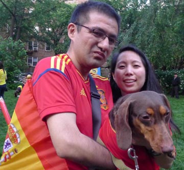 Perro con la camiseta de España.