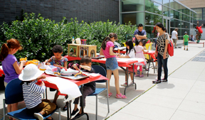 HALL OF SCIENCE FAMILY EVENT