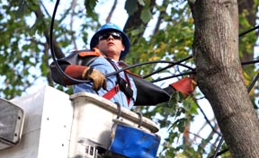 ConEdison workers fixing the electrical lines. Photo cortesy of ConEdison