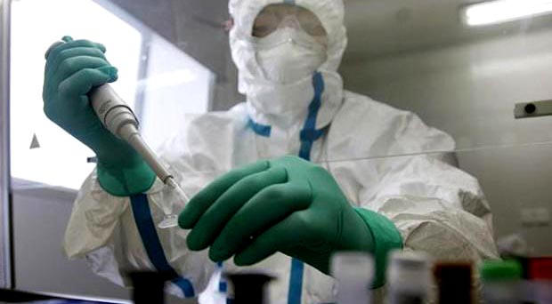 La vacuna contra el ébola podría estar lista para enero del 2015.