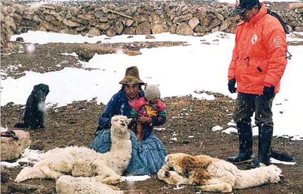 En Peru el cambio de clima está afectando los cultivos y la fauna. 