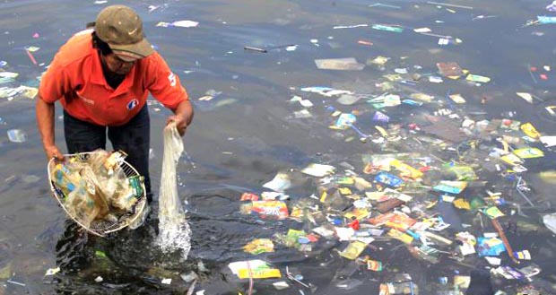 El plástico que arrojamos al mar termina contaminando y matando peces. 