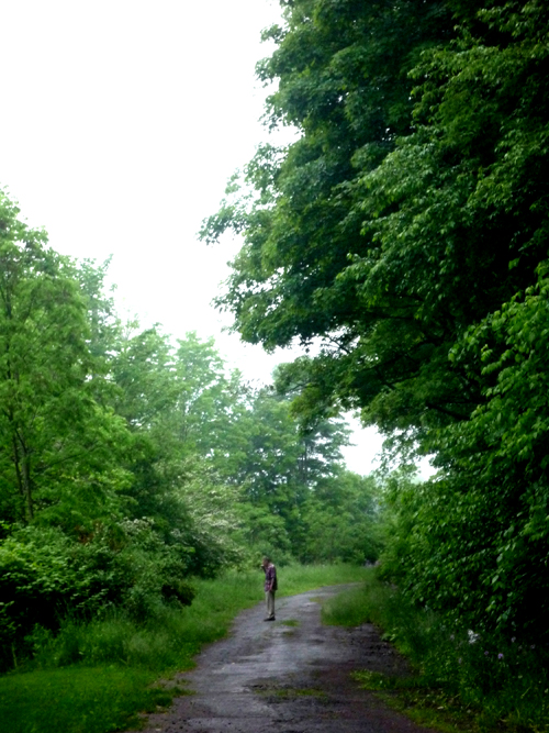 Carlos Vélez en la carretera de entrada a su finca al norte del estado de Nueva York.