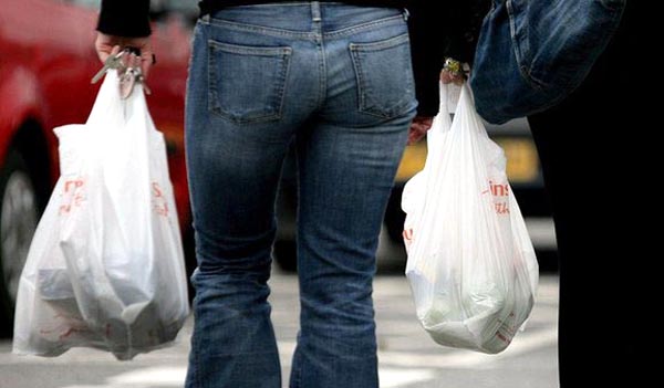 Plastic bags destroy the environment. 