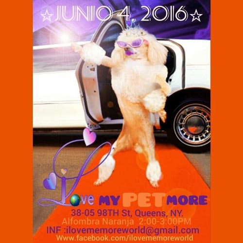 Love my pet more junio 2016