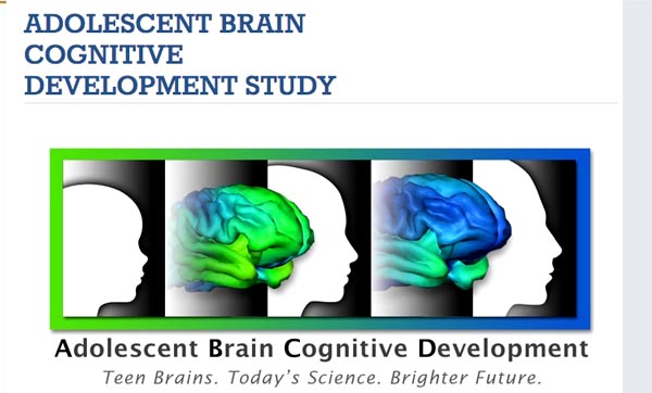 Mount Sinai adolescent brain