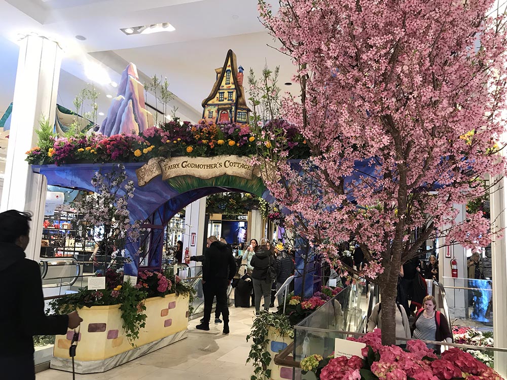 A la derecha, un árbol de cerezo.