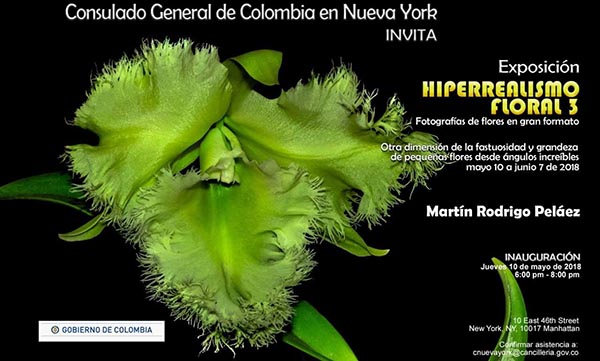 Exhibición de fotos de flores en Consulado de Colombia NY