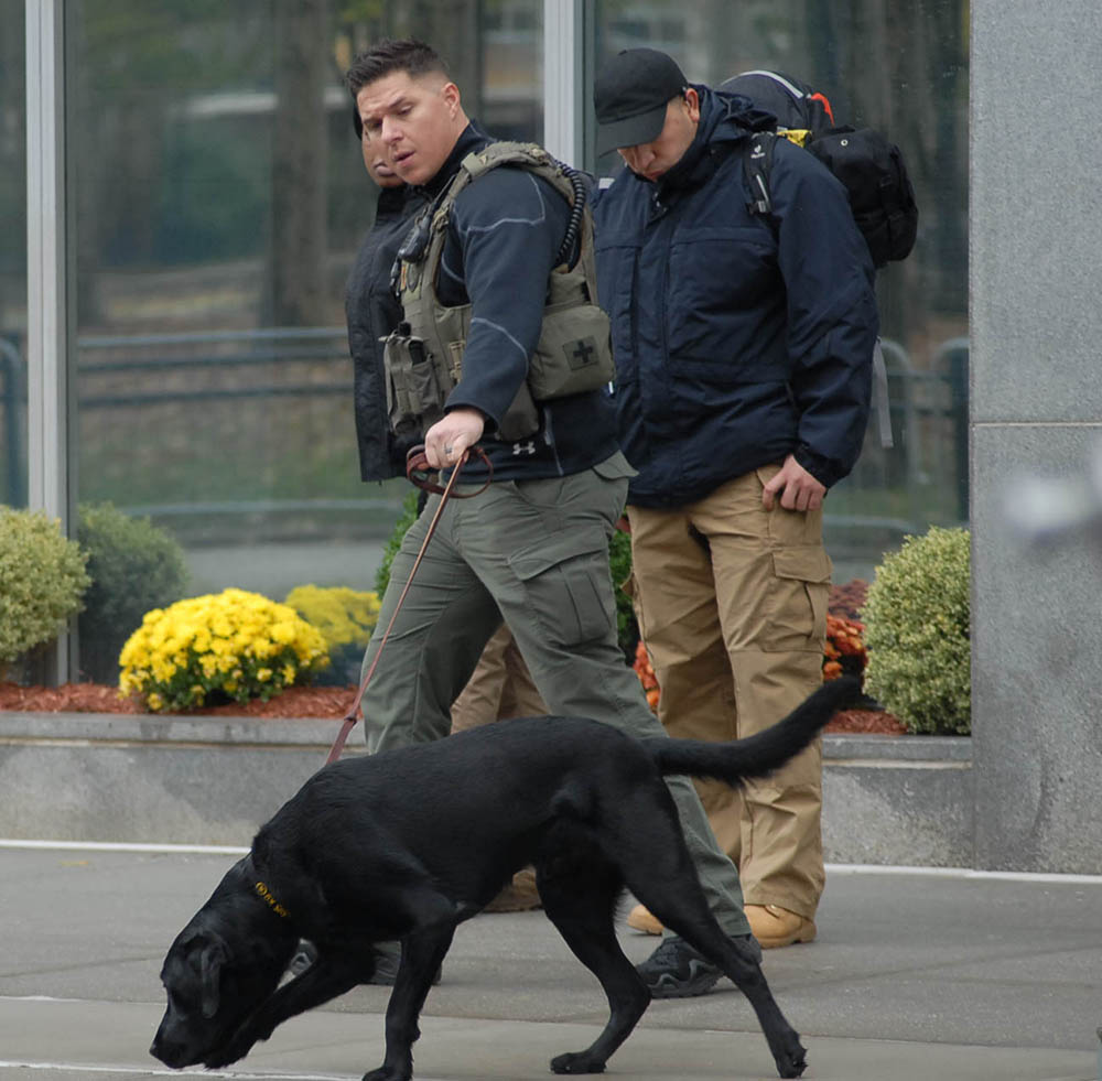 El sistema de seguridad para desplazar a El Chapo en Nueva York es riguroso e incluye perros olfateadores. Foto Humberto Arellano