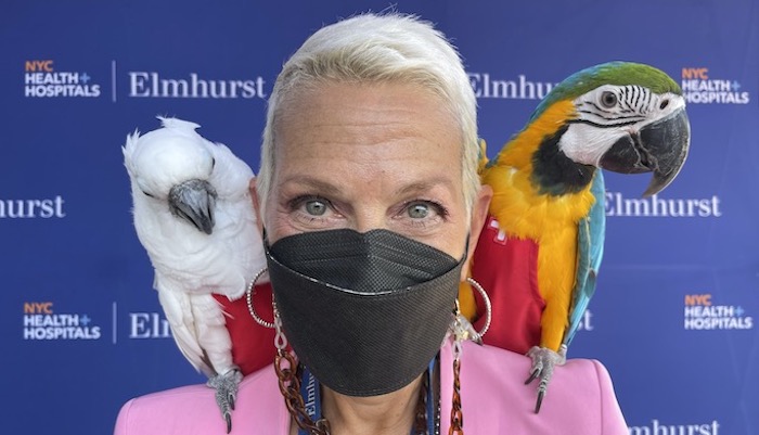 Mascotas en Hospital Elmhurst de Queens