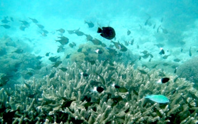 Cambios climáticos irreversibles